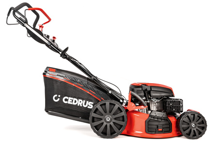 Kosiarka spalinowa Cedrus KS53S