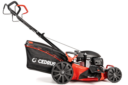 Kosiarka spalinowa Cedrus KS53S-H silnik Honda