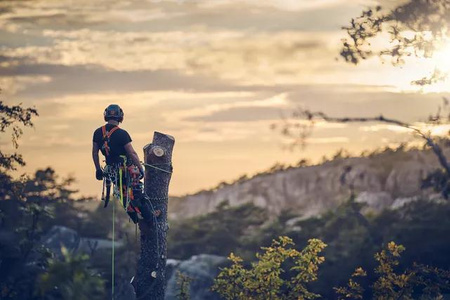 Pilarka spalinowa Husqvarna T540 XP® Mark III Tree-care chainsaw